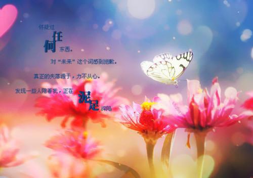 初二英语日记范文100字