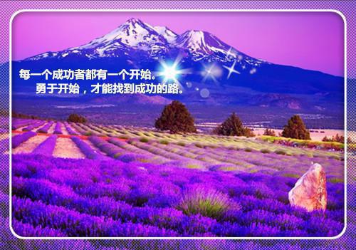 感动爱情小故事