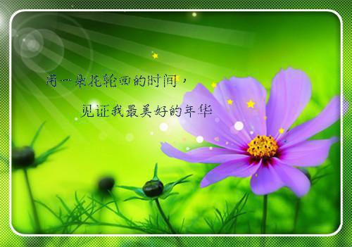小学生经典童话故事