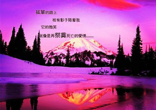 盛绵贺隽毅小说（盛绵贺隽毅）全文免费阅读无弹窗大结局_盛绵贺隽毅最新章节列表(盛绵贺隽毅）