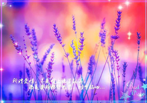 重生后我把影后的位置让给妹妹最新章节_重生后我把影后的位置让给妹妹全文免费阅读