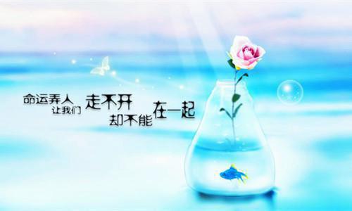 美术指导专业实习求职简历模板