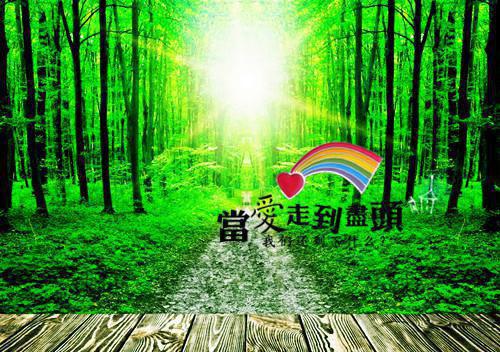 程颖写的小说订好钻戒周皓白程颖阅读