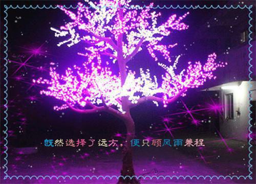 感动好听的婚礼励志歌曲