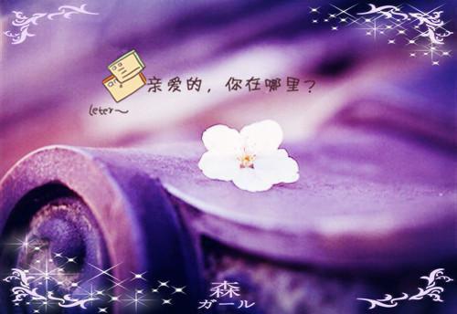 大学生工作求职简历范文