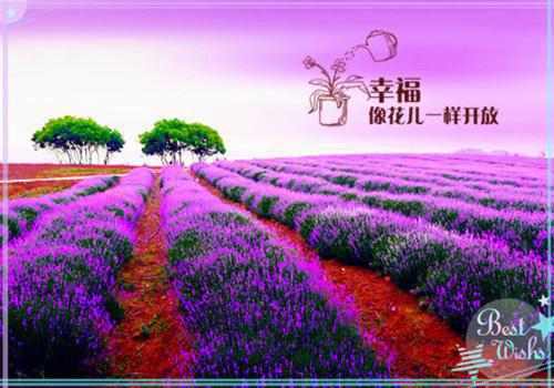 好看的人生励志书籍推荐