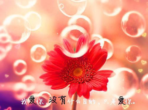 大学生兼职家教个人简历范文
