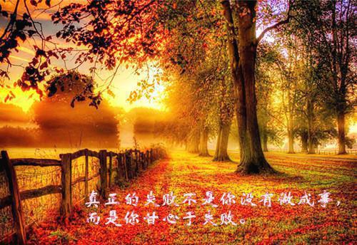 全家被抄？真千金坐看全家啃泥巴最新章节_全家被抄？真千金坐看全家啃泥巴全文免费阅读