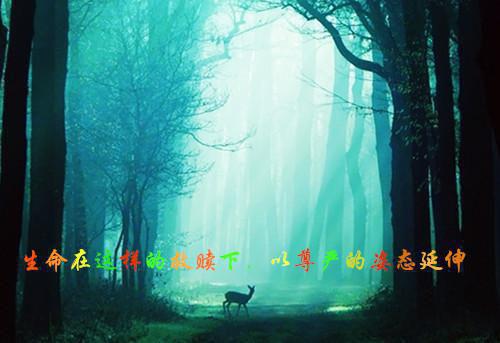 都市之盖世医婿最新章节_都市之盖世医婿全文免费阅读