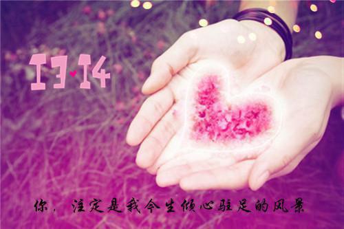 完结版小说无爱晴天周林全文免费阅读