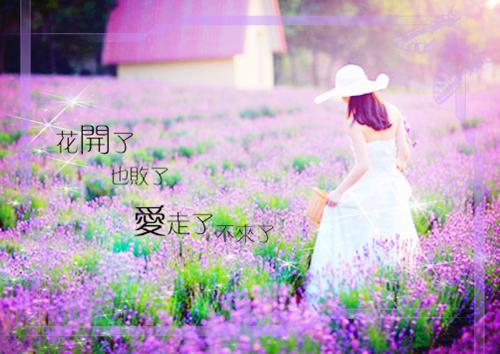 玄学大佬下山，团宠废材真千金全文免费墨念乔时砚读无弹窗大结局_（墨念乔时砚玄学大佬下山，团宠废材真千金小说）玄学大佬下山，团宠废材真千金最新章节列表（墨念乔时砚）