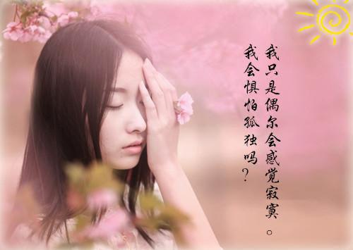 主角名是温芷素盛淮瑾全文免费阅读正版