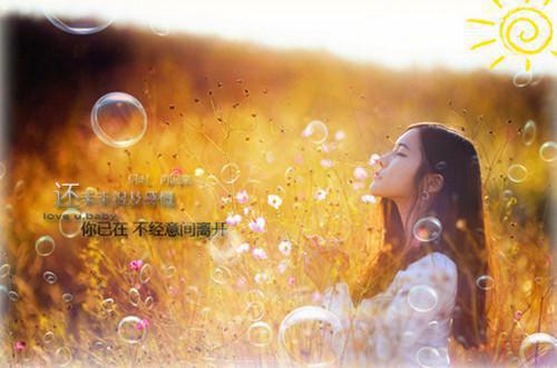 海棠仍俏倚朱栏：结局+番外（沈长清傅逸辰）全文免费阅读无弹窗大结局_海棠仍俏倚朱栏：结局+番外最新章节列表（沈长清傅逸辰）