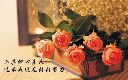 回家后，我被六个哥哥争着宠最新章节_回家后，我被六个哥哥争着宠全文免费阅读