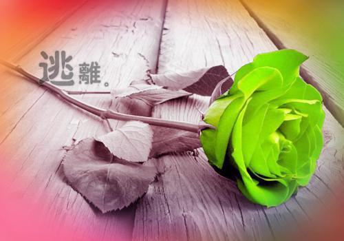 (番外)+(全文)经年不回顾：结局+番外（宋时安沈幼楚）全文免费阅读无弹窗大 结局_（经年不回顾：结局+番外免费阅读全文大结局）最新章节列表（经年不回顾：结局+番外）