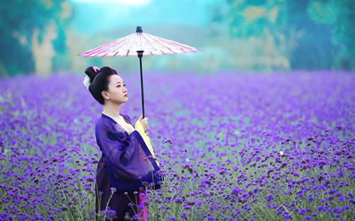 素女与大鸿的故事