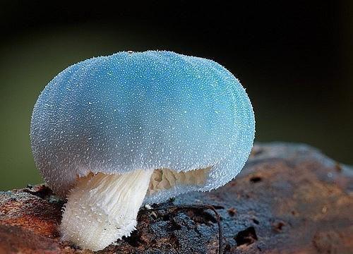 夏沫染顾铭修小说免费无弹窗大结局_(夏沫染顾铭修）夏沫染顾铭修小说最新章节列表全文（夏沫染顾铭修）