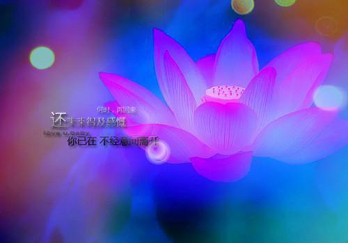 南宫雨顾允成最新章节_南宫雨顾允成全文免费阅读