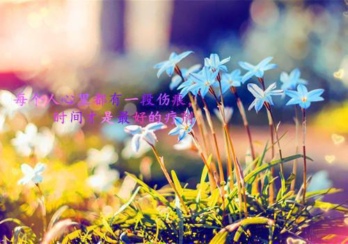 个人简历及基本情况表格