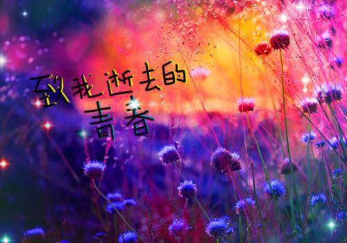 孟西雅楚天宁小说（孟西雅楚天宁）全文免费阅读无弹窗大结局_ （孟西雅楚天宁全文在线阅读）孟西雅楚天宁全文在线阅读最新章节列表（孟西雅楚天宁）