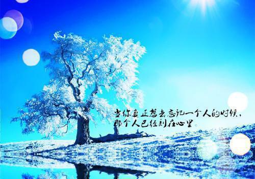 薛望年许蕊昕（全集小说已完结完整大结局）撩了死对头后,许她一世繁华免费阅读