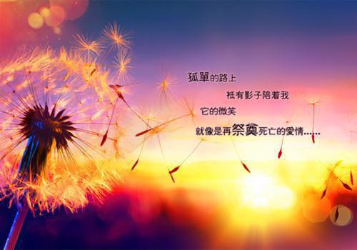 全本小说明珠蒙尘by佚名免费阅读