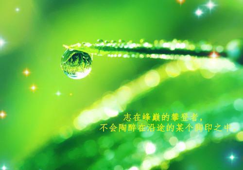女人一生都在追求什么?人生感悟