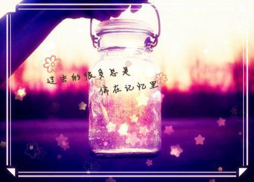 歌颂成功的散文