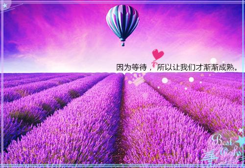教师个人简历200字