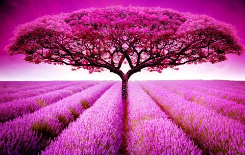 (番外)+(全文)顾裴司池晚（顾裴司池晚：无广告+大结局）完整全文在线阅读_顾裴司池晚免费阅读最新章节列表（顾裴司池晚：无广告+大结局）