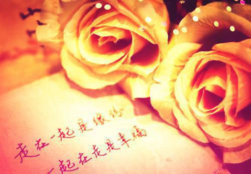 高三必读的励志书籍有哪些