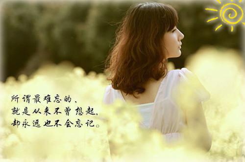 主设计师个人简历表格