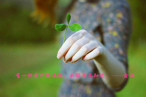 我的婚礼，他的闹剧小说全文免费阅读(陈若汐陆彦周诗诗)全文免费陈若汐陆彦周诗诗阅读无弹窗大结局_ 陈若汐陆彦周诗诗费陈若汐陆彦周诗诗阅读最新章节列表（我的婚礼，他的闹剧小说）