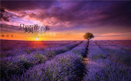 被嫡妹抢亲，另嫁高枝当权臣夫人最新章节_被嫡妹抢亲，另嫁高枝当权臣夫人全文免费阅读