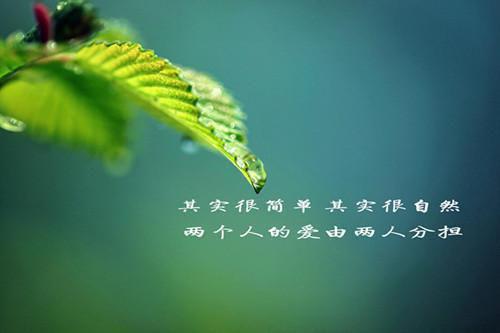 陆韶平王爱龄王爱龄陆韶平（已完结小说全集完整版大结局）小说全文阅读