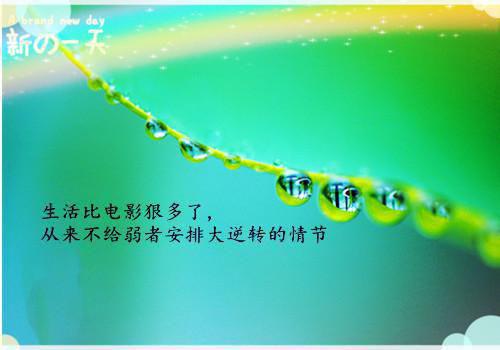 我生命倒计时30天，男友全家逼我捐肾最新章节_我生命倒计时30天，男友全家逼我捐肾全文免费阅读