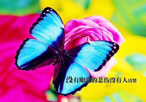 练剑一亿次,剑斩古神!最新小说(那道,方在,张翠花)全文阅读