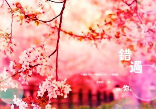 人生必读的哲理书籍排行榜