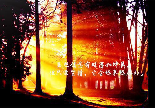 于无声处爱你全文免费邵时渊宋心语无弹窗大结局_（于无声处爱你）于无声处爱你最新章节列表（邵时渊宋心语）
