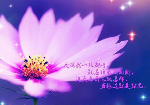 青青搁浅小说李小葵-青青搁浅小说在哪里可以看