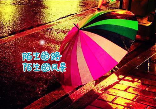 社会招聘的英语简历模板