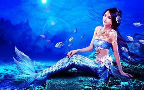 作者为时淮序的小说星辰阴谋小说免费阅读免费阅读