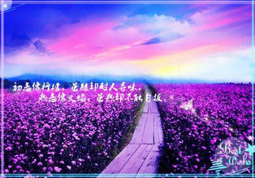 薛萝衣裴羽涅大结局免费阅读 薛萝衣裴羽涅全文小说