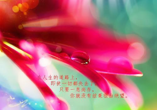 核算中心副主任求职简历表格