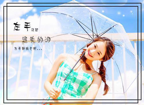 白首无悔坠梦楼：结局+番外篇（陆知意沈修文）全文免费阅读无弹窗大结局_陆知意沈修文免费阅读最新章节列表（白首无悔坠梦楼：结局+番外篇）