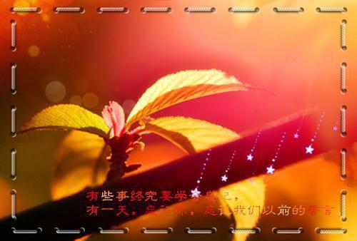 富有哲学的励志故事大全