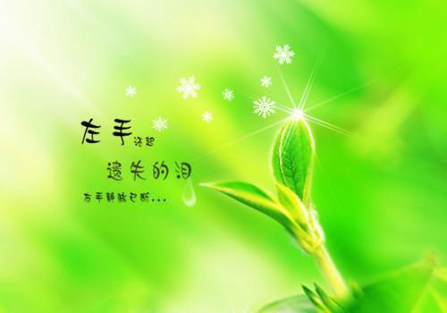 沈允熙霍廷琛小说最后结局 沈允熙霍廷琛完结版免费阅读