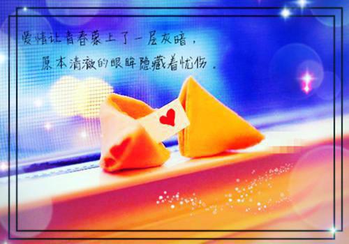 明月高悬不照我：全章节苏言决江承旭小说_明月高悬不照我：全章节免费阅读