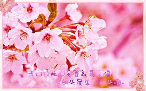 小雨雪意全文免费阅读(小雨雪意小说)全文免费姜明初顾长川读无弹窗大结局_ (姜明初顾长川)小雨雪意小说免费姜明初顾长川读无弹窗最新章节列表（小雨雪意小说）