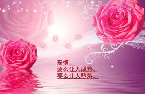 我死后,总裁疯了裴景（江婉与裴景的小说）全文免费阅读无弹窗大结局_(我死后,总裁疯了裴景)江婉与裴景的小说免费阅读无弹窗最新章节列表（江婉与裴景的小说）